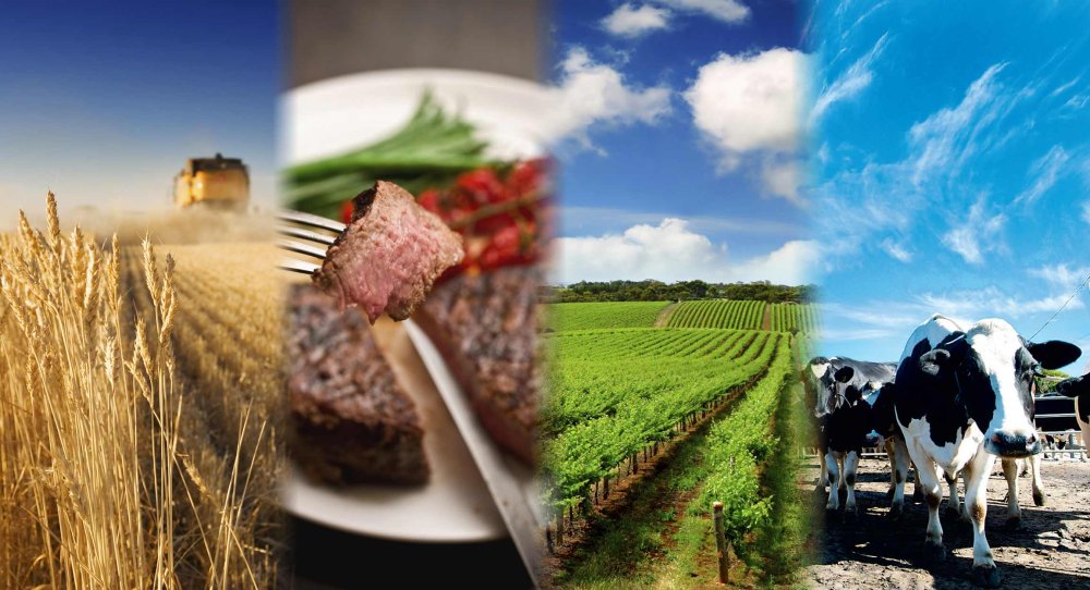 Сельское хозяйство и пищевая промышленность