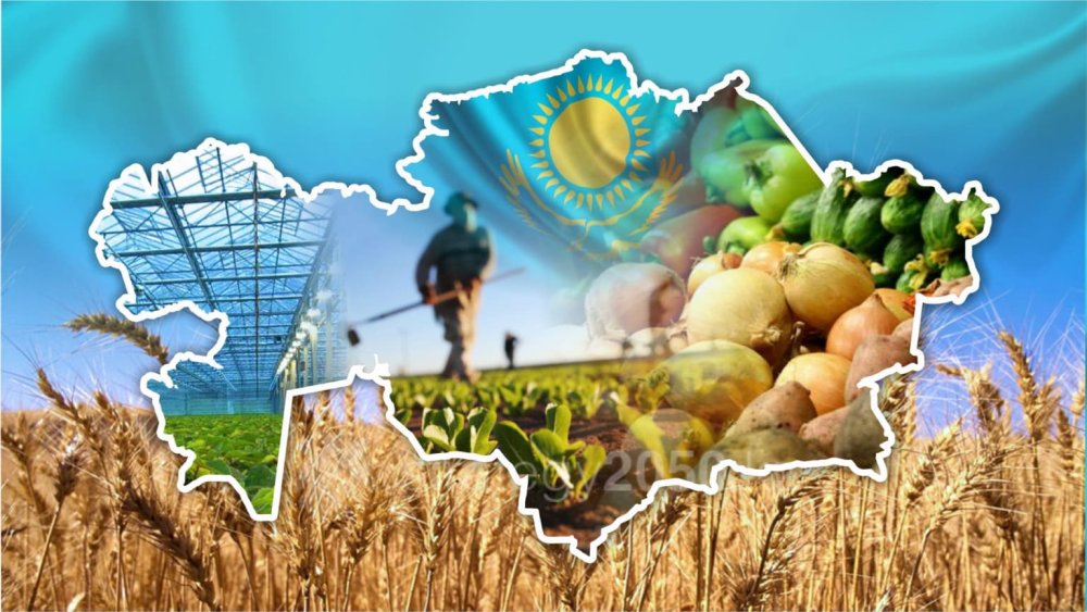 Органическое сельское хозяйство фон