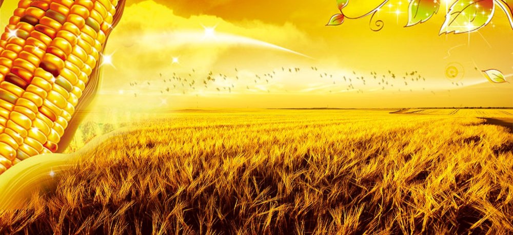 Коллаж по сельскому хозяйству