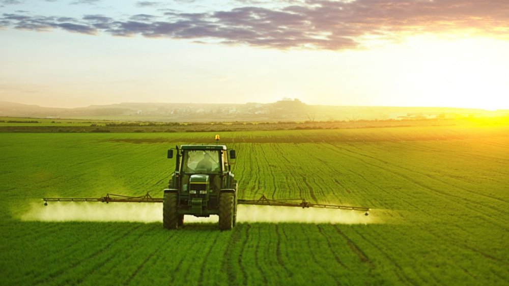 Сельское хозяйство для детей