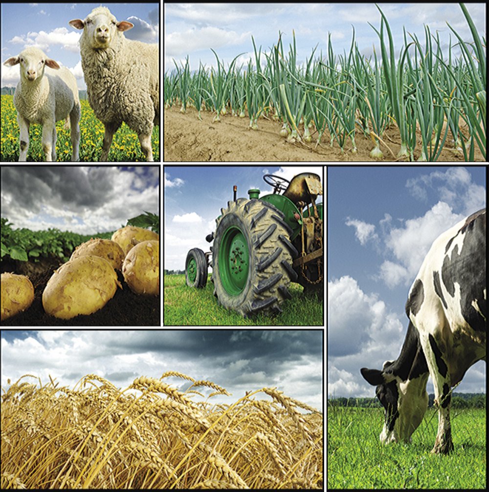Сельскохозяйственный баннер