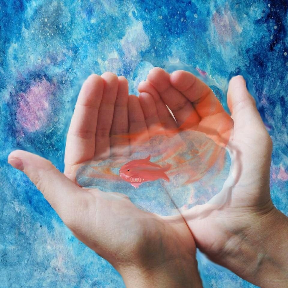 Касание воды