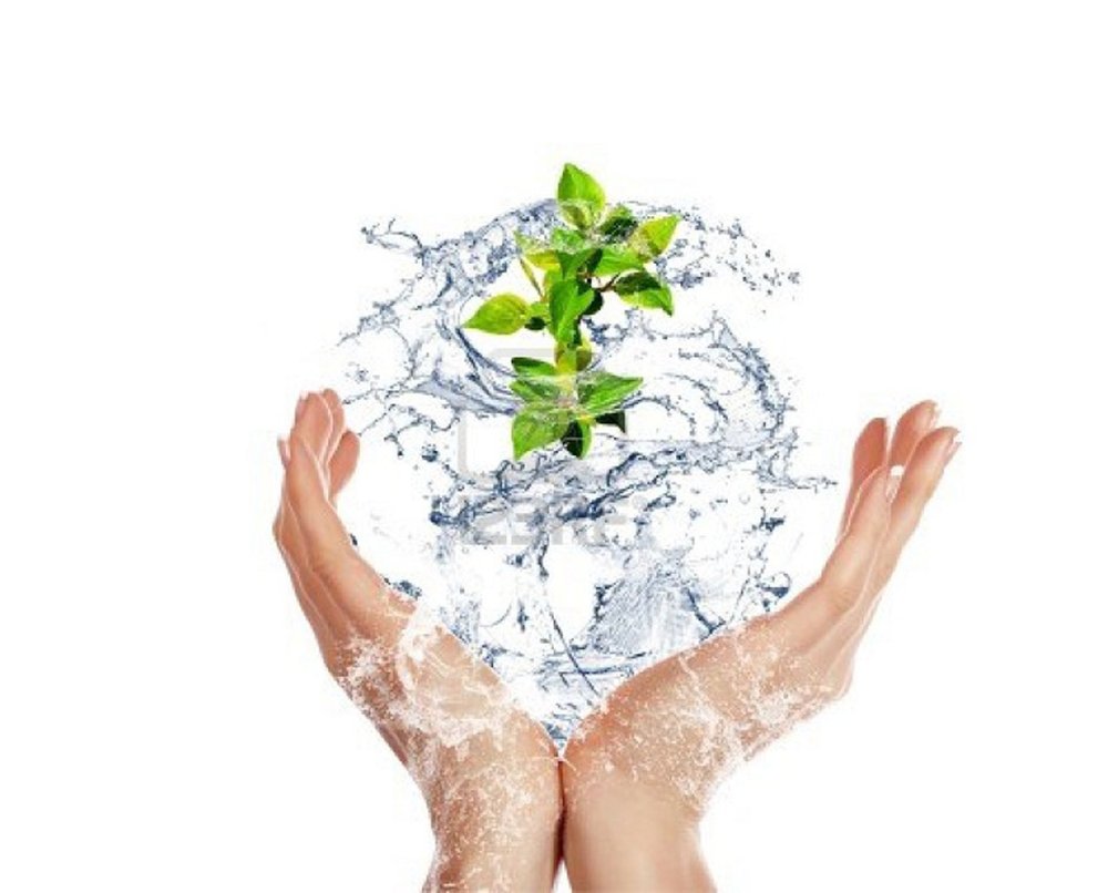 Вода в ладонях