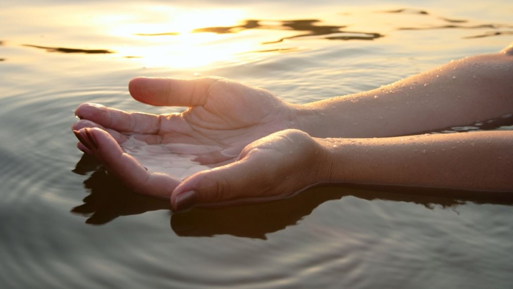 Чистые руки