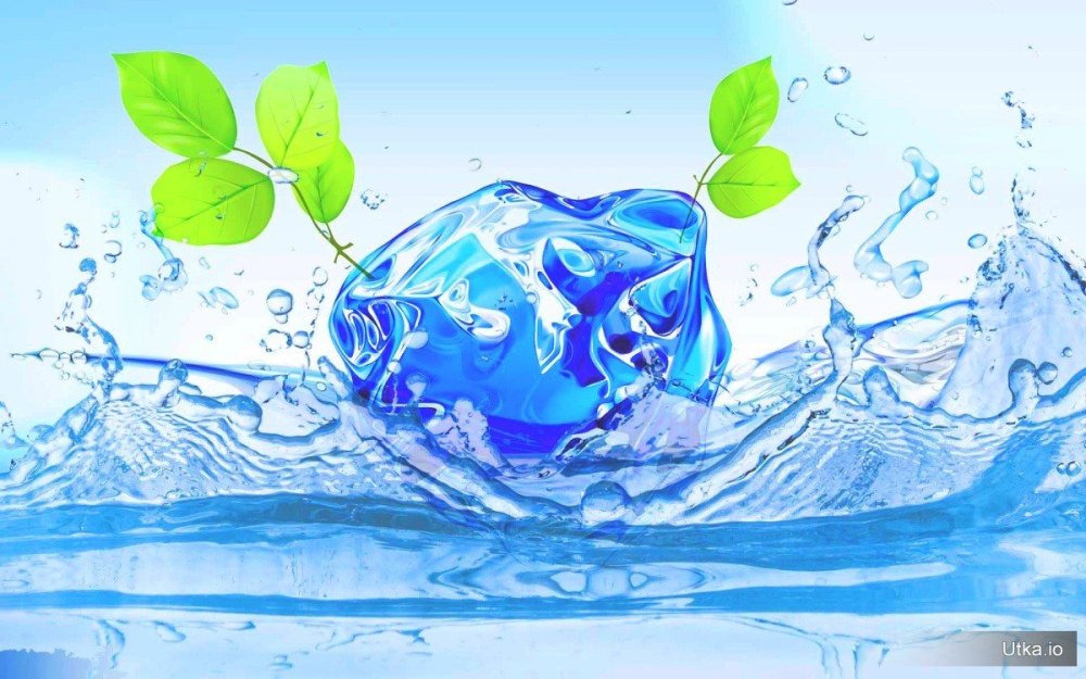 Ледяные руки