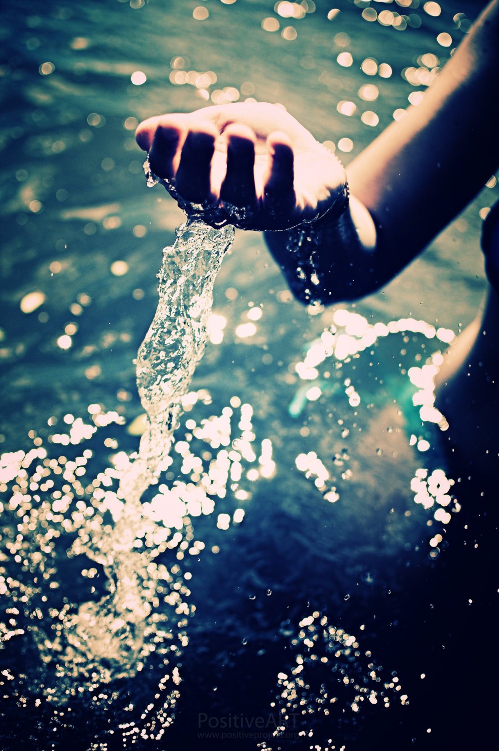 Вода и растения