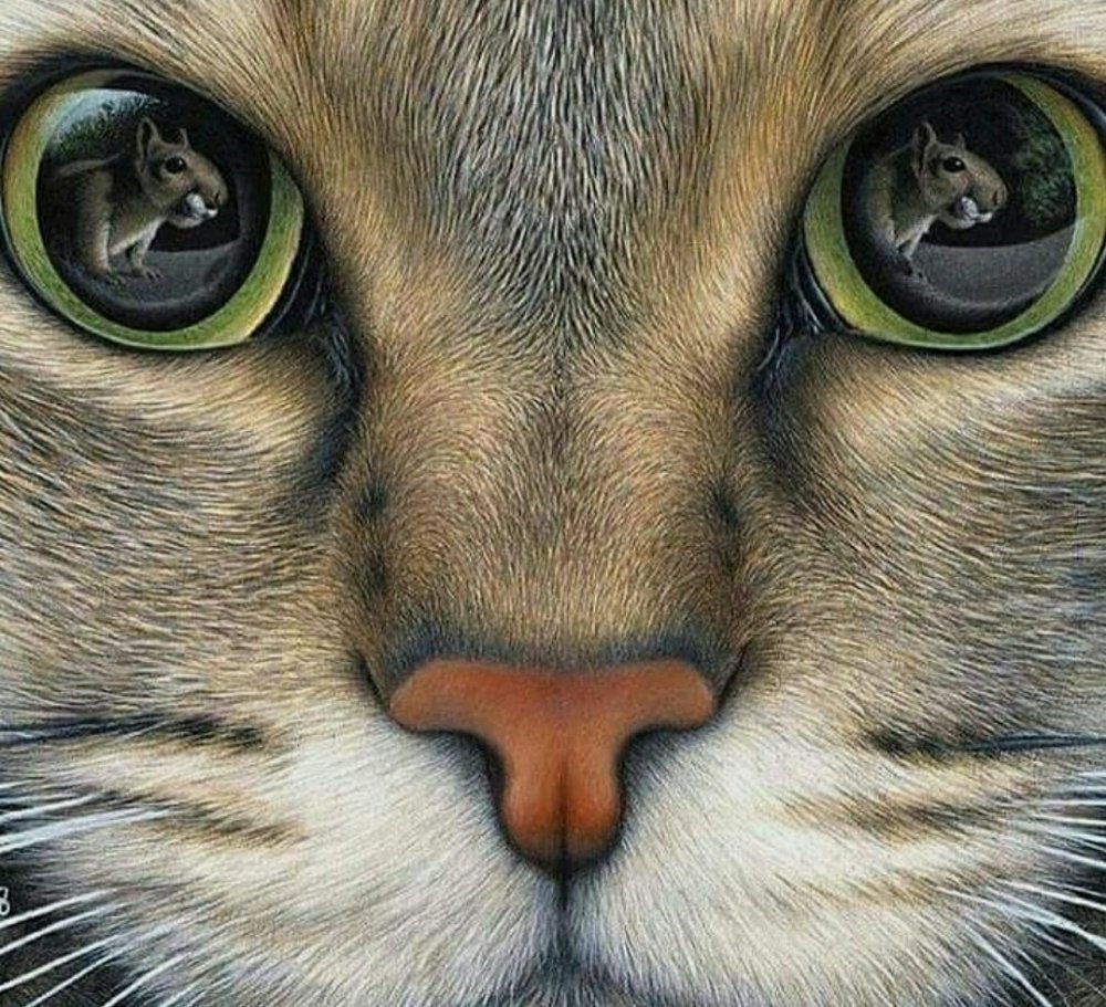 Морда кота арт