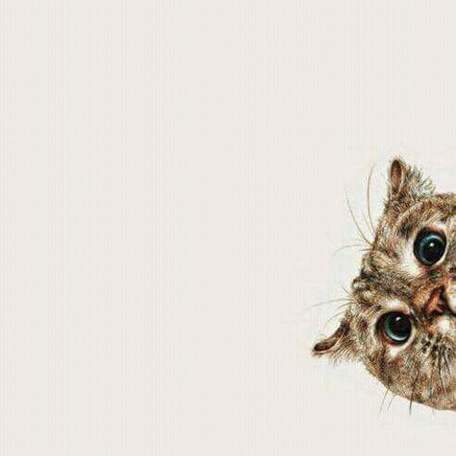 Котик Минимализм