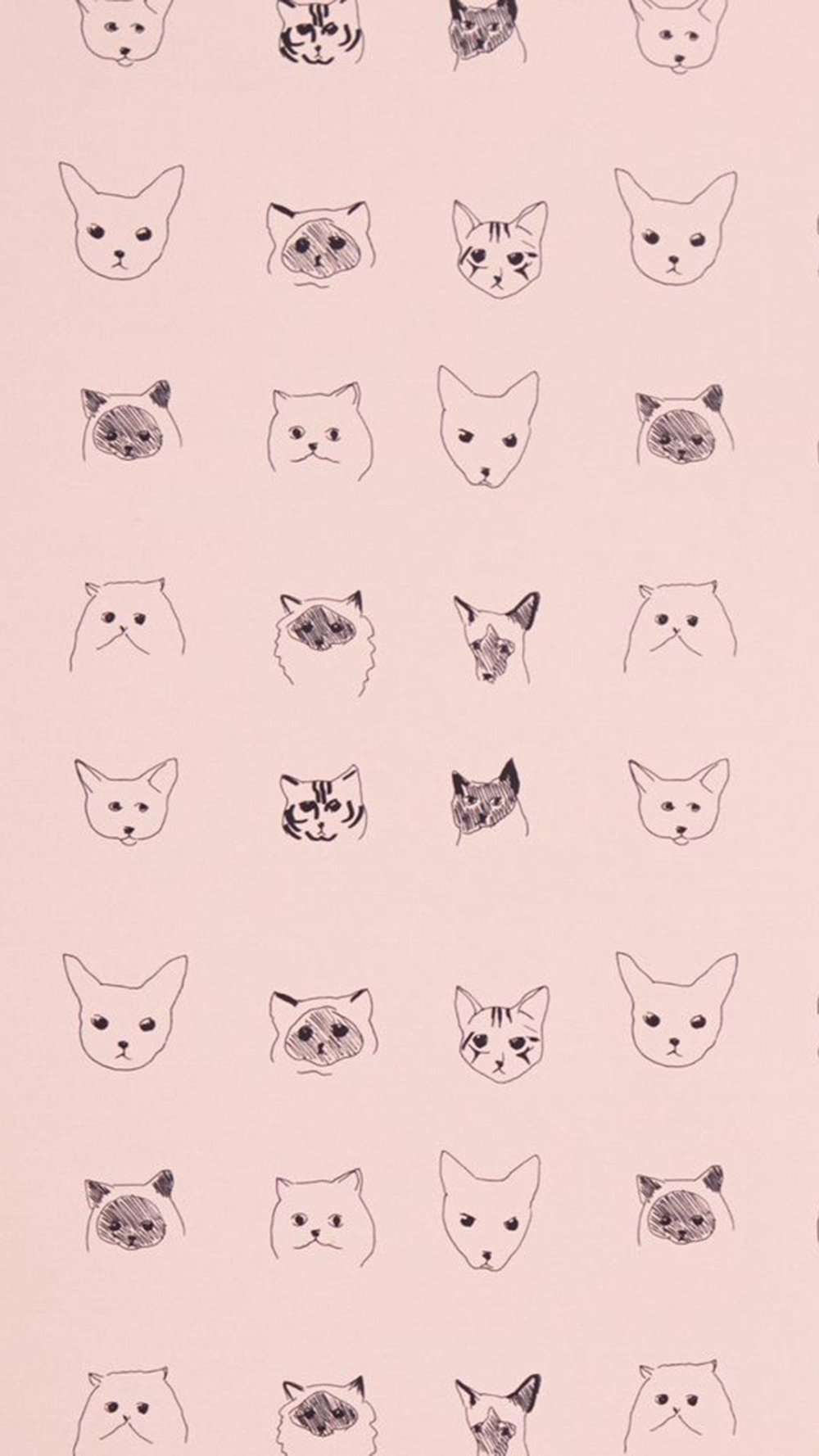 Фоны для ЛД С котиками