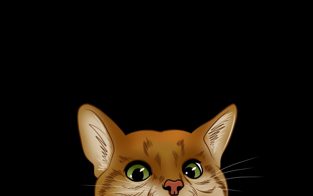 Фон с котиками