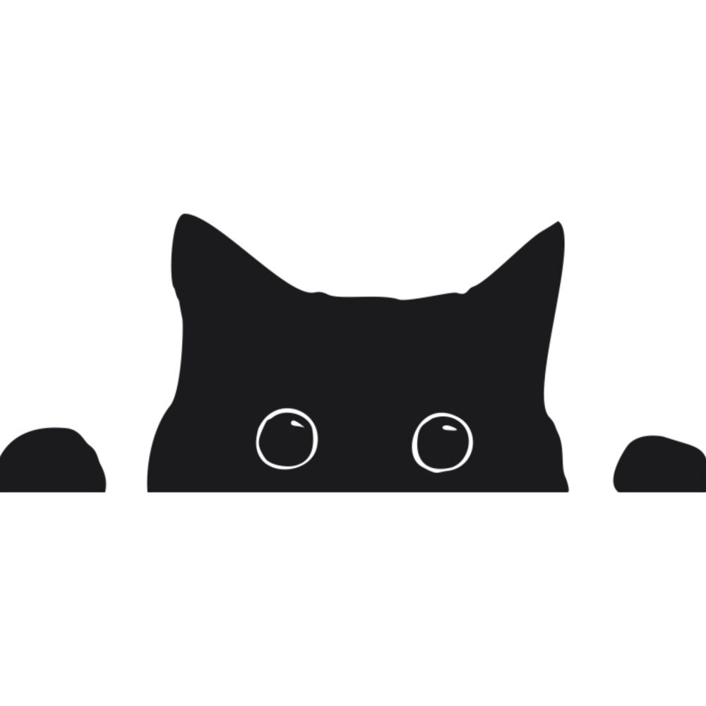 Кот выглядывает