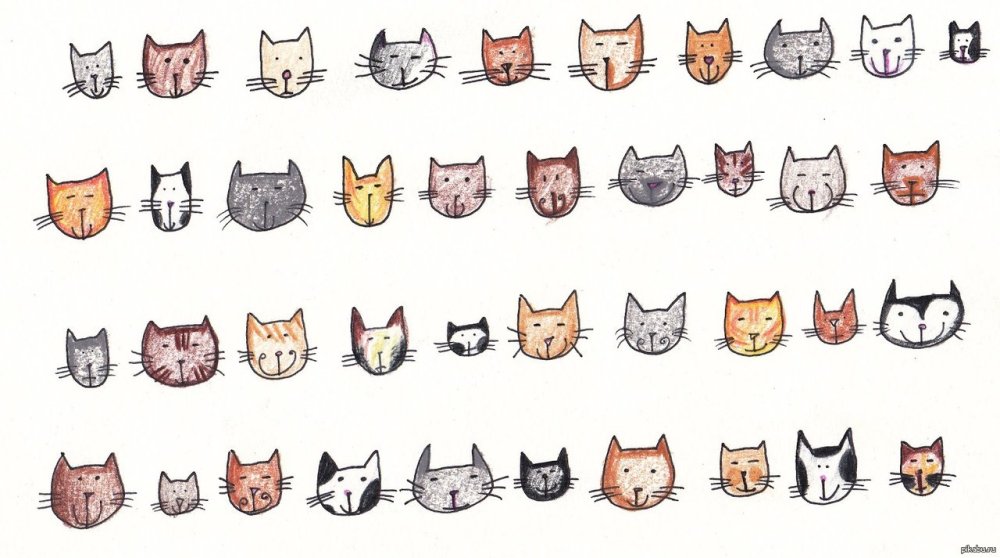 Котики мордочки стилизованные