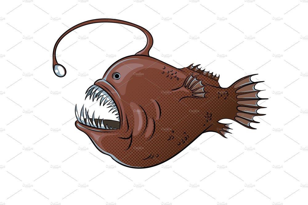 Глубоководный удильщик на белом фоне