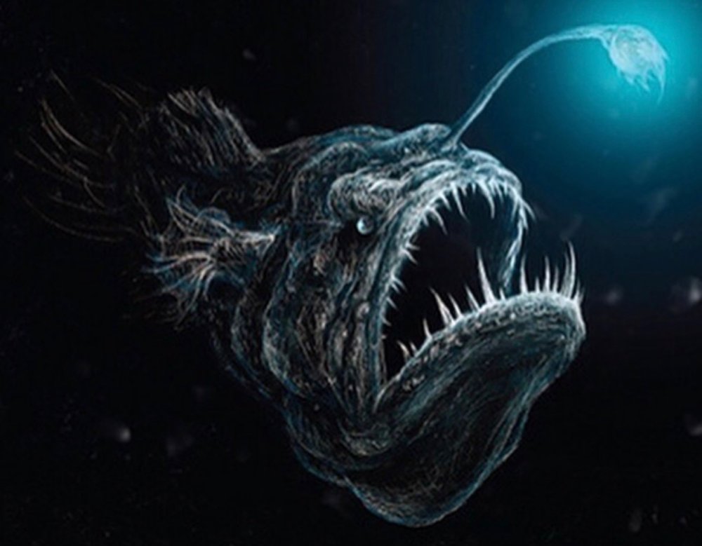 Удильщик рафт