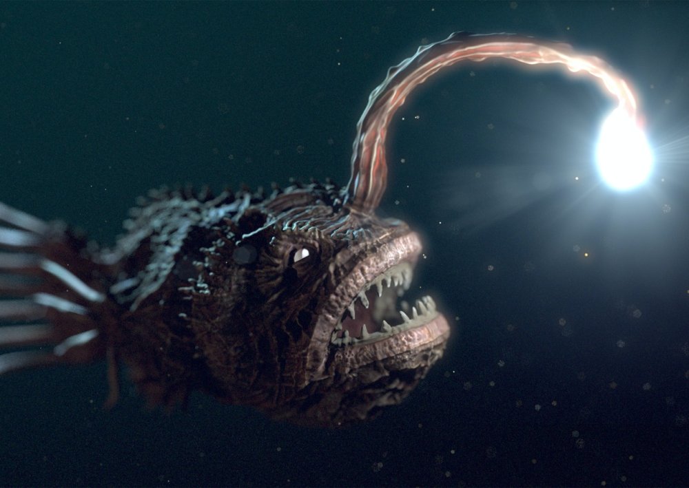 Трёхзвёздный удильщик