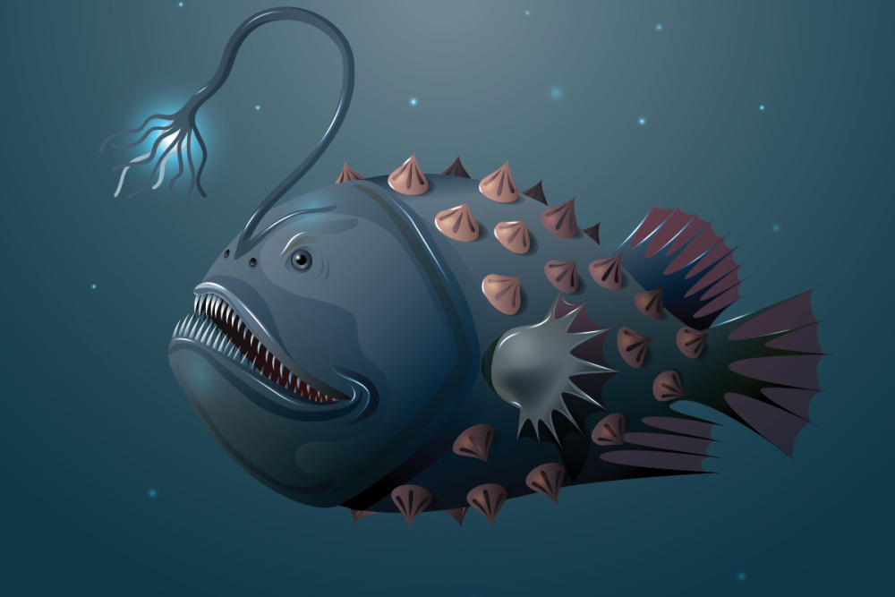 Рыба удильщик