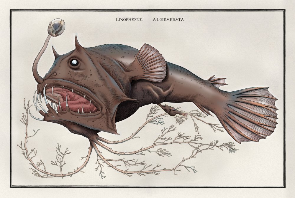 Морской дракон рыба глубоководное чудище