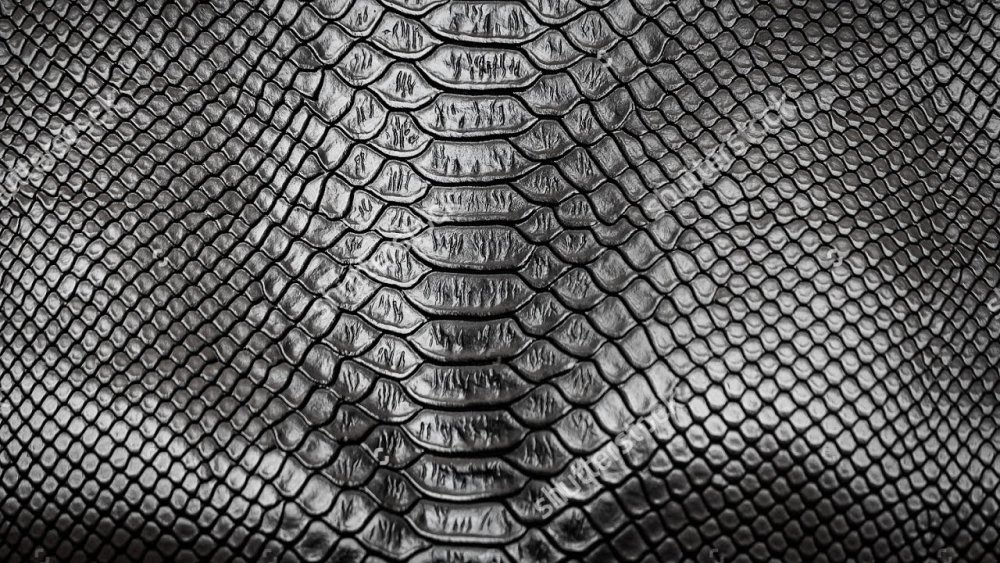 Кожа змеи эскиз