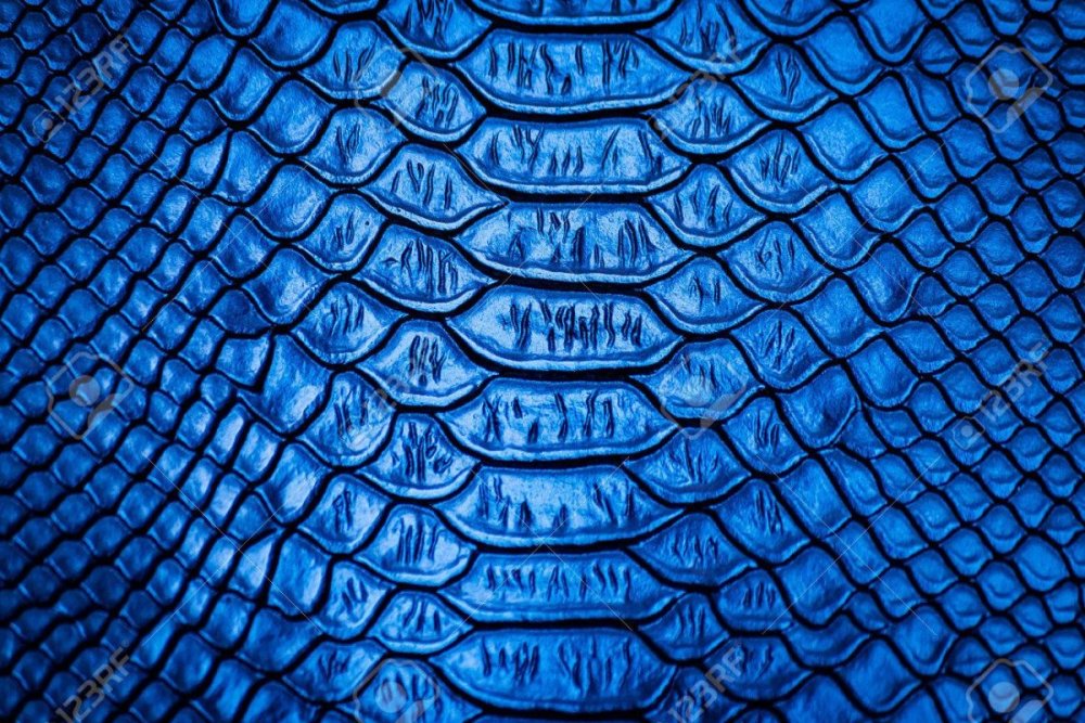 Кожа змеи синяя текстура