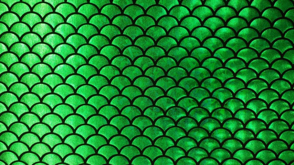 Чешуя вектор