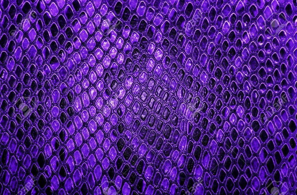 Змеиная кожа фиолетовая