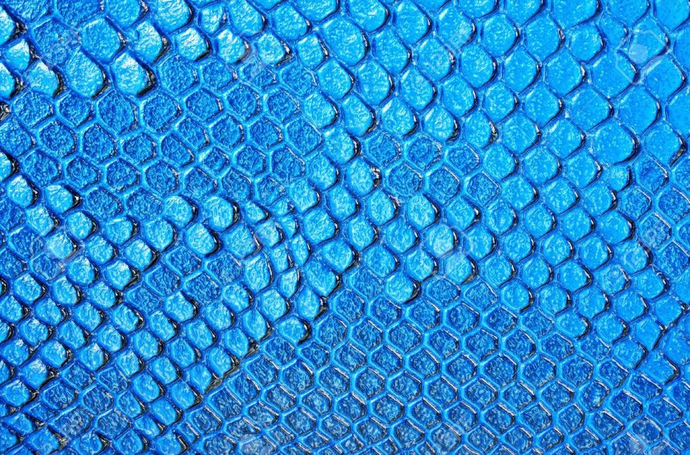 Змеиная кожа голубая