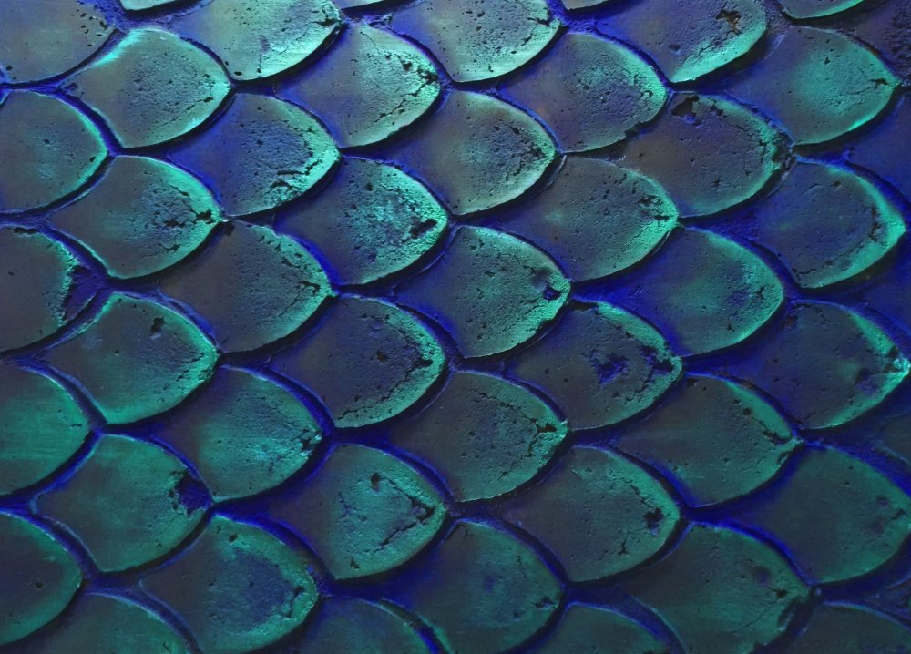 Змеиная чешуя