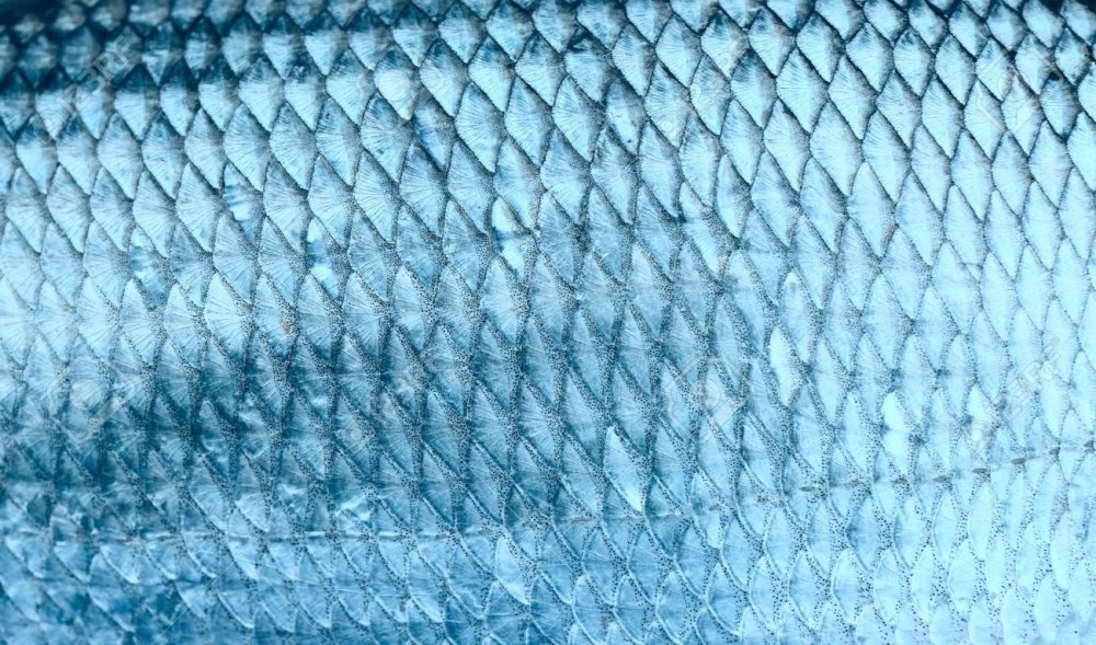 Бумага чешуя