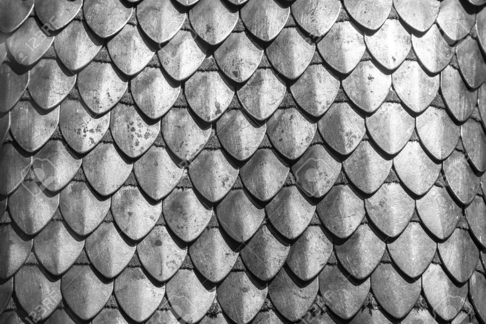 Скринтон чешуя