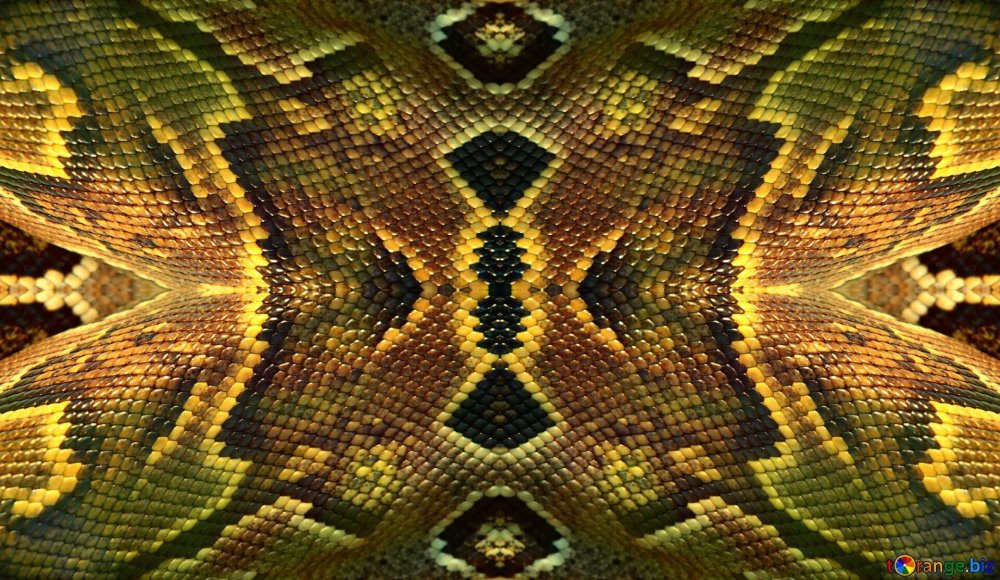 Змеиная кожа зеленая