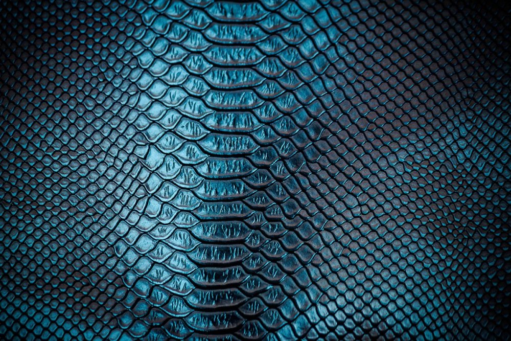 Рыбья чешуя контур