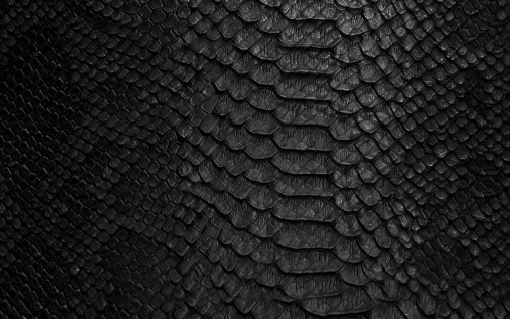 Чешуя рыбы вектор