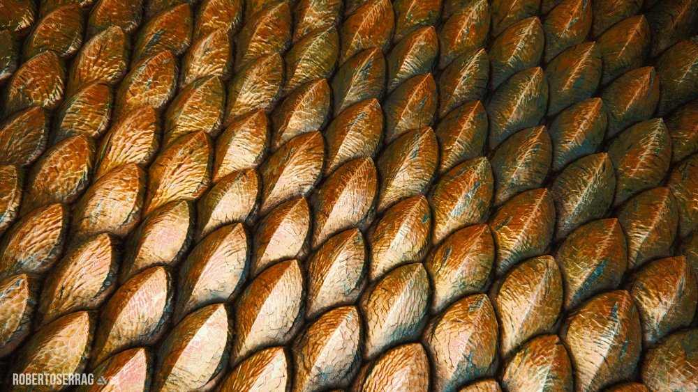 Паттерн чешуя