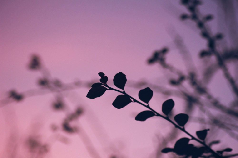 Самые красивые Абстракции