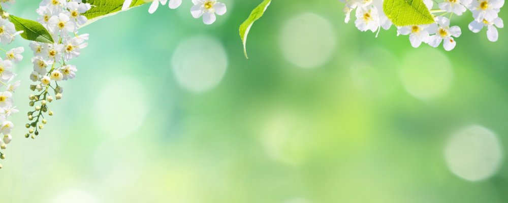 Красивый фон горизонтальный