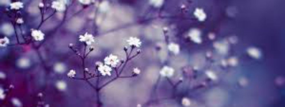 Фон для Амино профиля