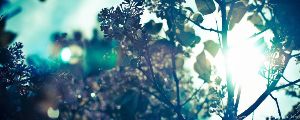 Пейзаж абстракция