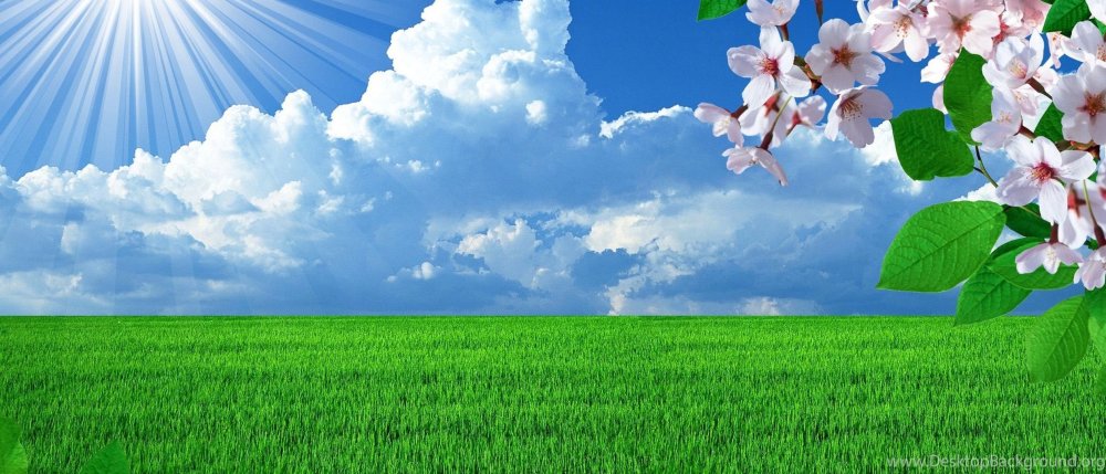 Фон для сайта