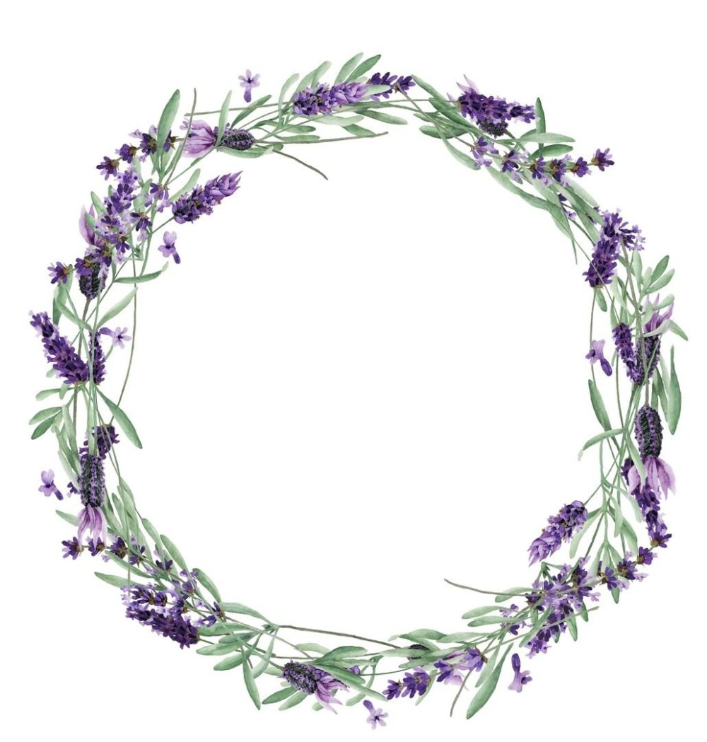 Лаванда рамка