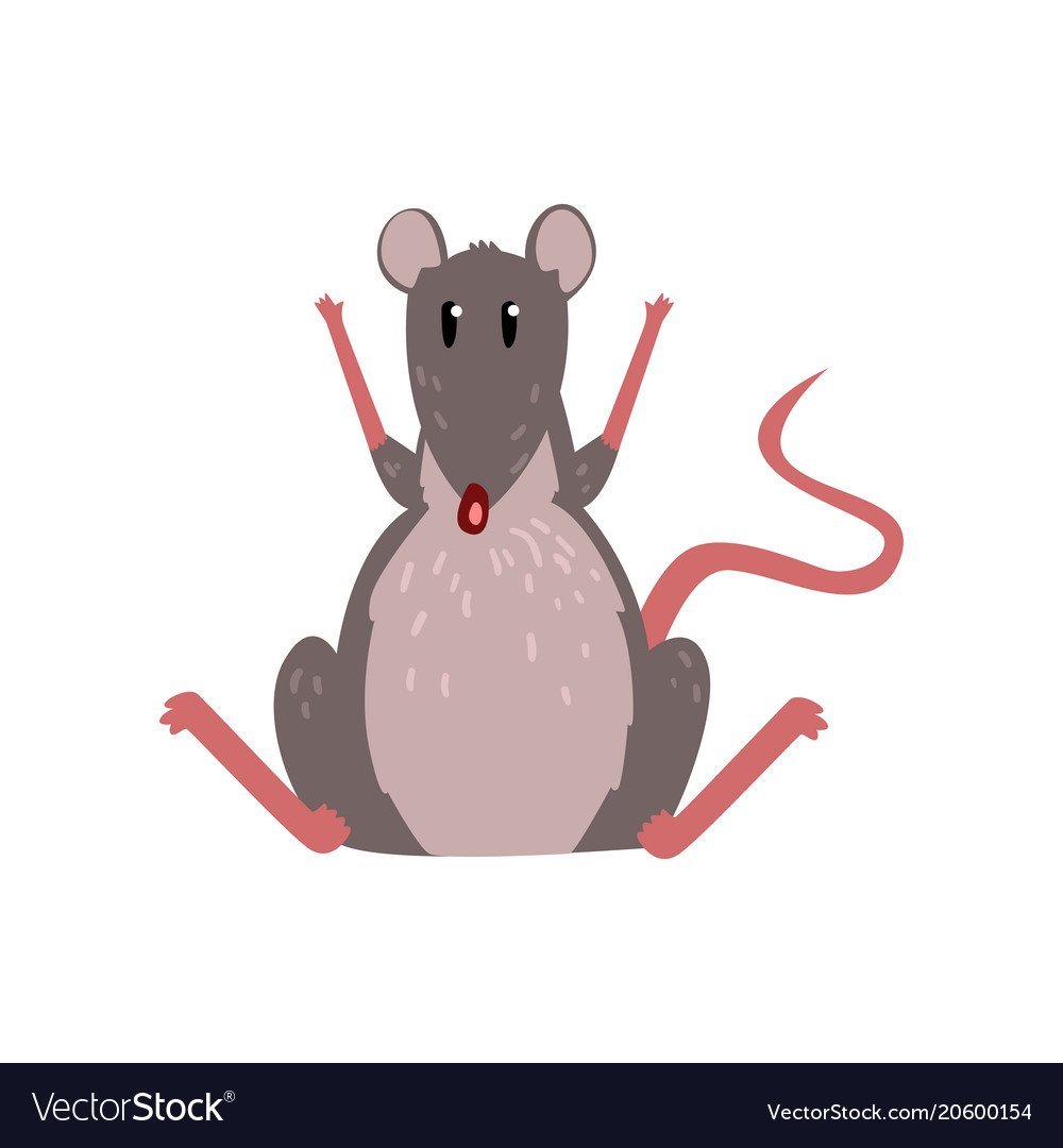 Белая лабораторная крыса Вистар