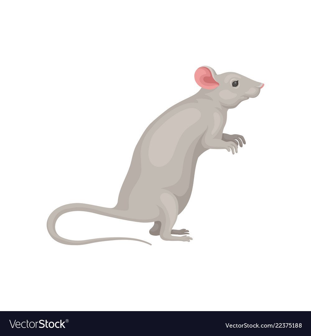 Мышка стоящая на задних лапах