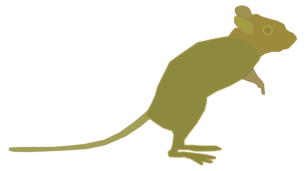 Убегающая мышь