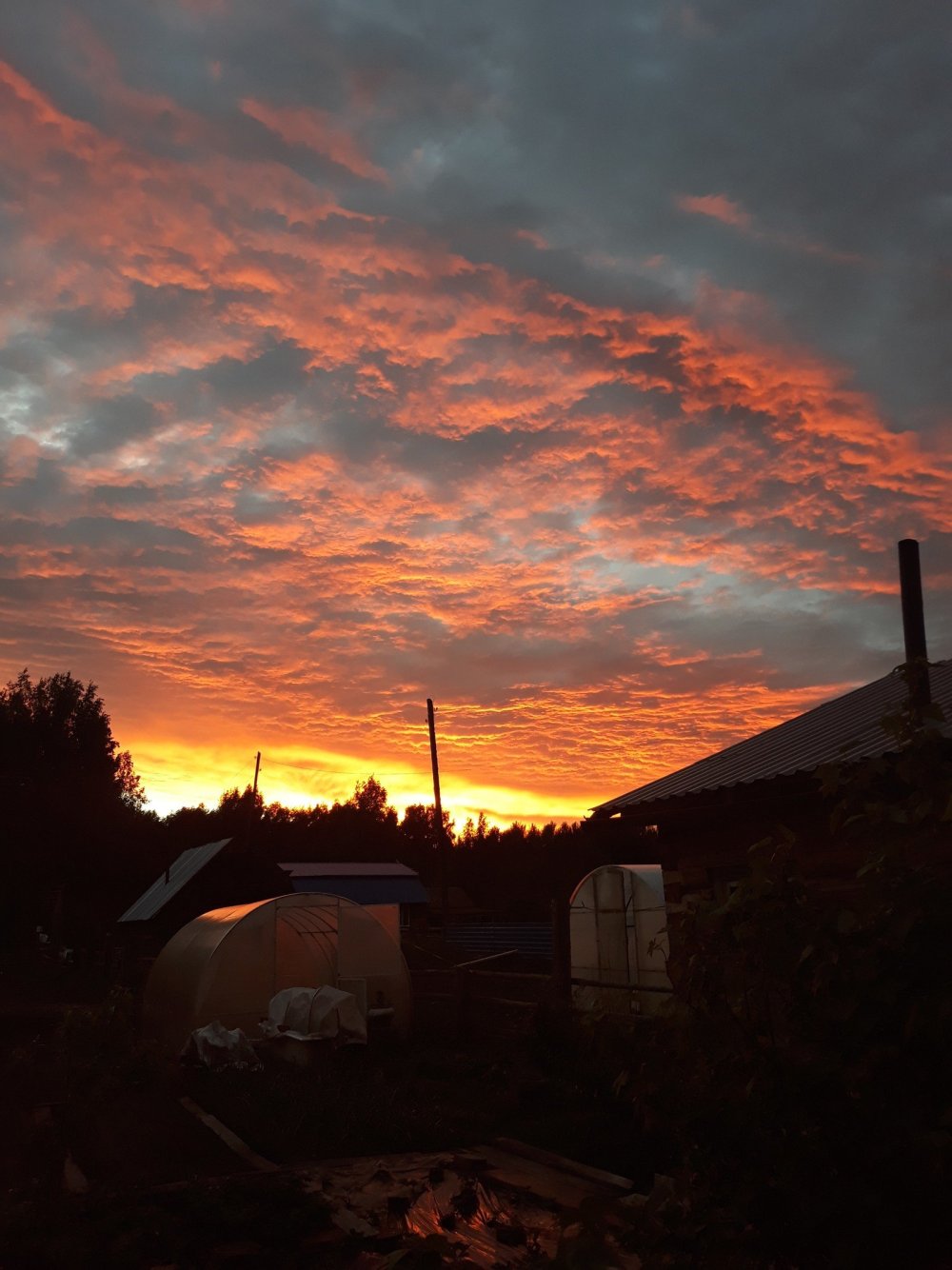 Розовый закат в поле