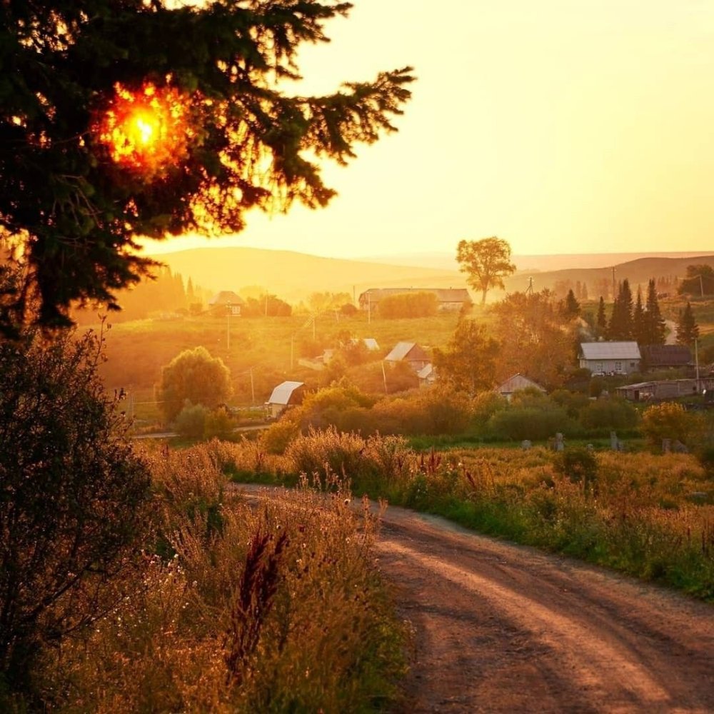 Закат в поле