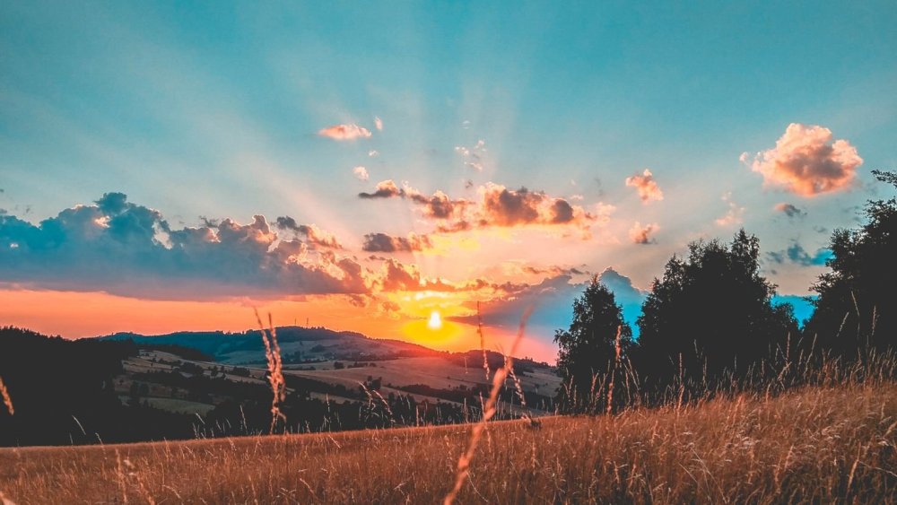 Пейзаж закат