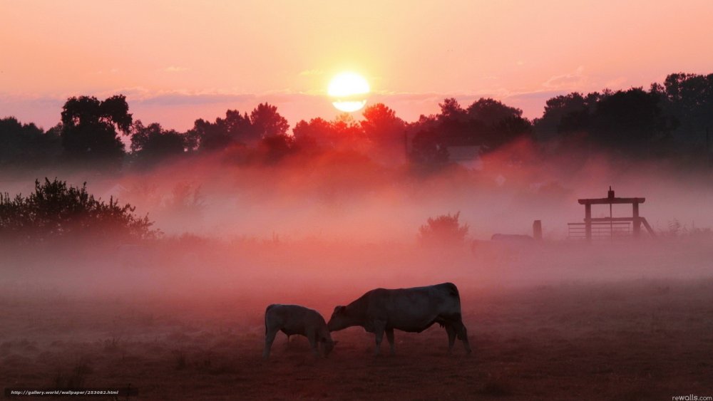 Закат в деревне