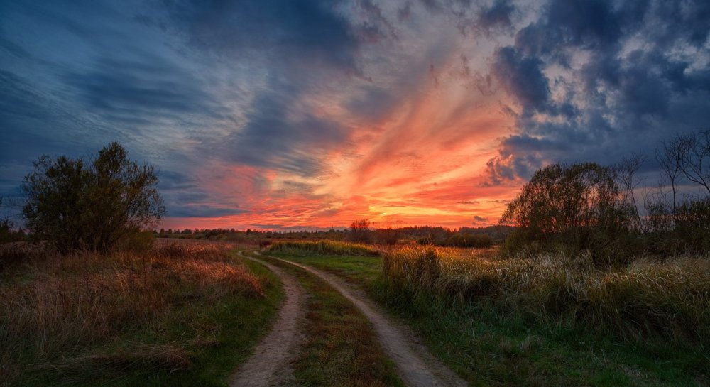 Фон закат в поле