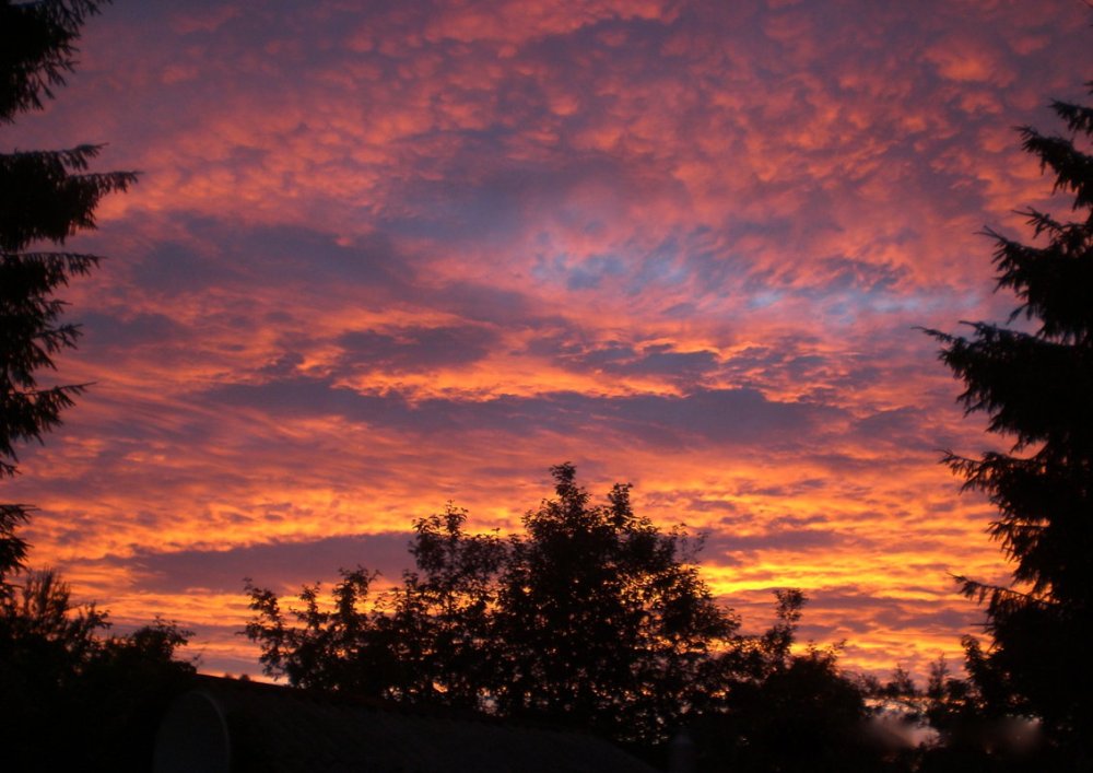 Летний вечер