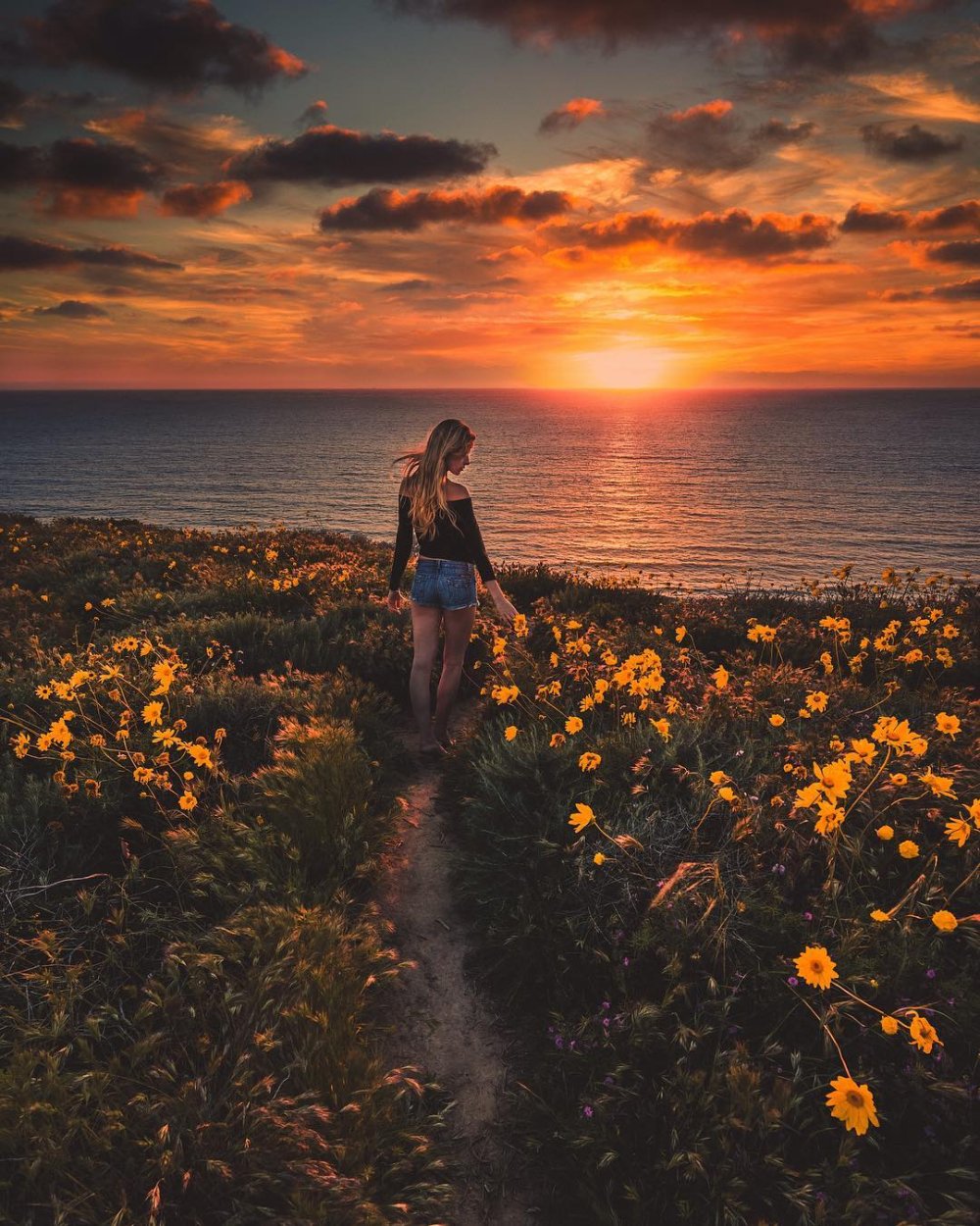 Красивый закат в деревне