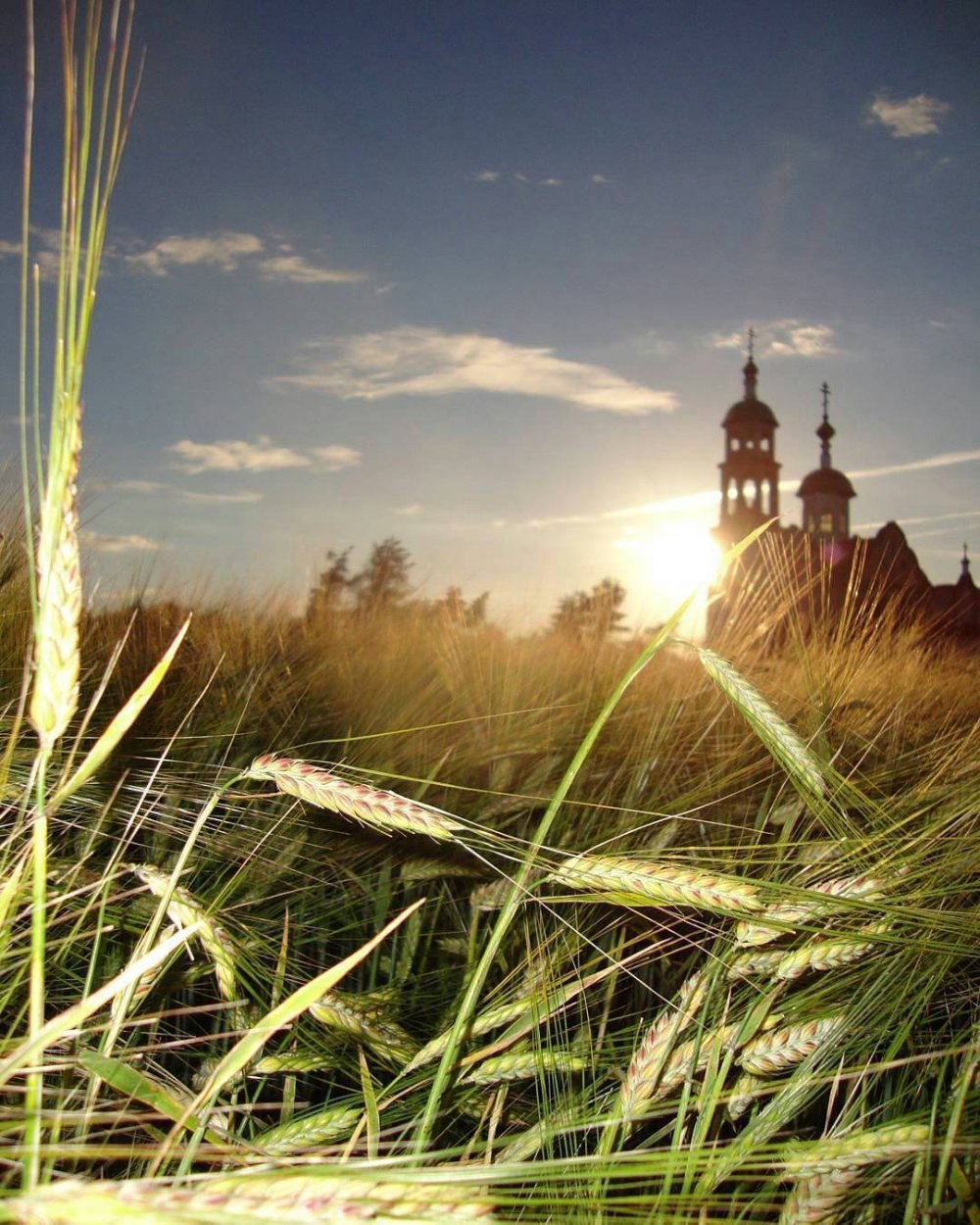 Закат на фоне домов